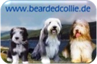 beardedcollie.de mT.jpg